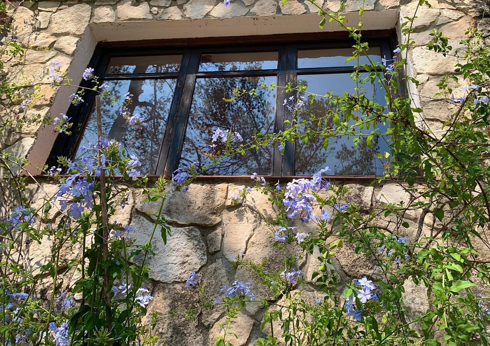Appartamento La Casita Del Bosque Sant Pere De Ribes Esterno foto